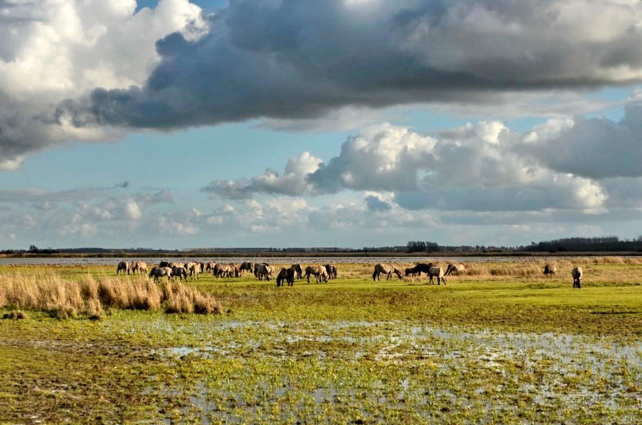 Siblu Camping Lauwersoog Luaran gambar